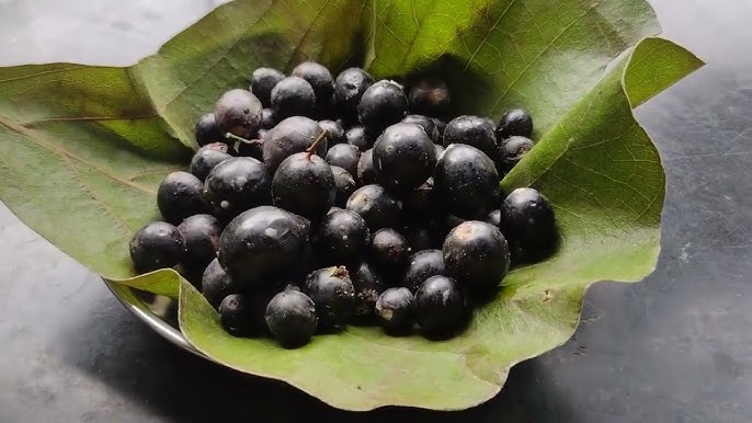 Karwand: The Dark, Sweet Pearl of the Western Ghats 2